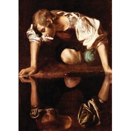 Narcissus